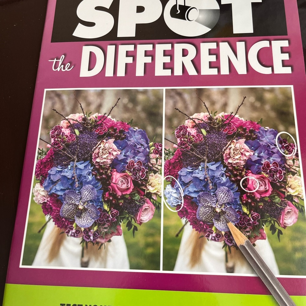 I SPY A to Z Picture Riddles & Spot the Difference Activity Books - Multi-Color - Picture 4 of 4
